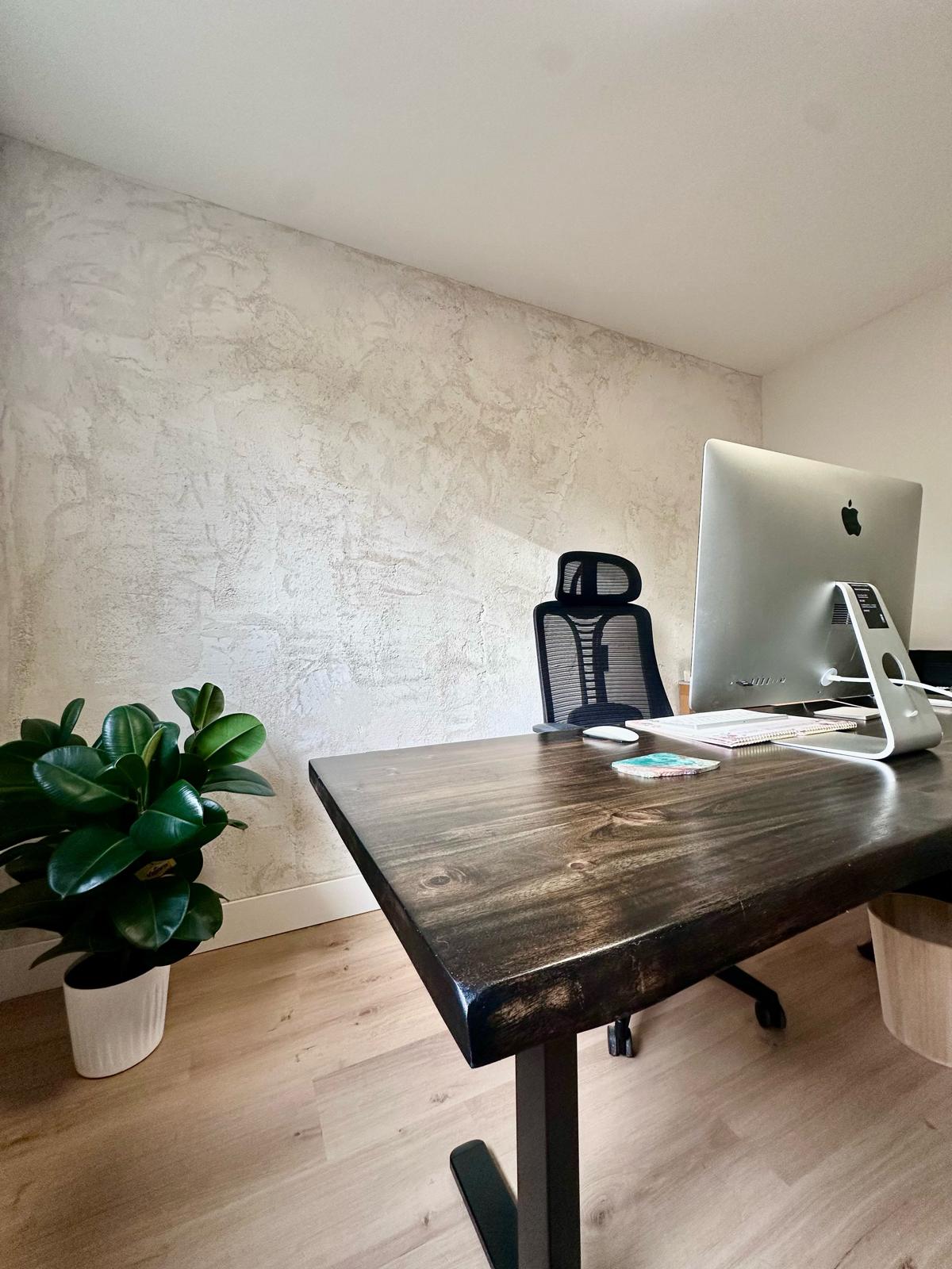 Modern home office featuring a handcrafted decorative stucco feature wall completed by GreenTech Painting in London, Ontario.