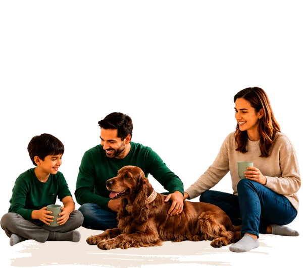 Family with their dog relaxing in a healthy, eco-friendly painted living room by GreenTech Painting in London, Ontario.