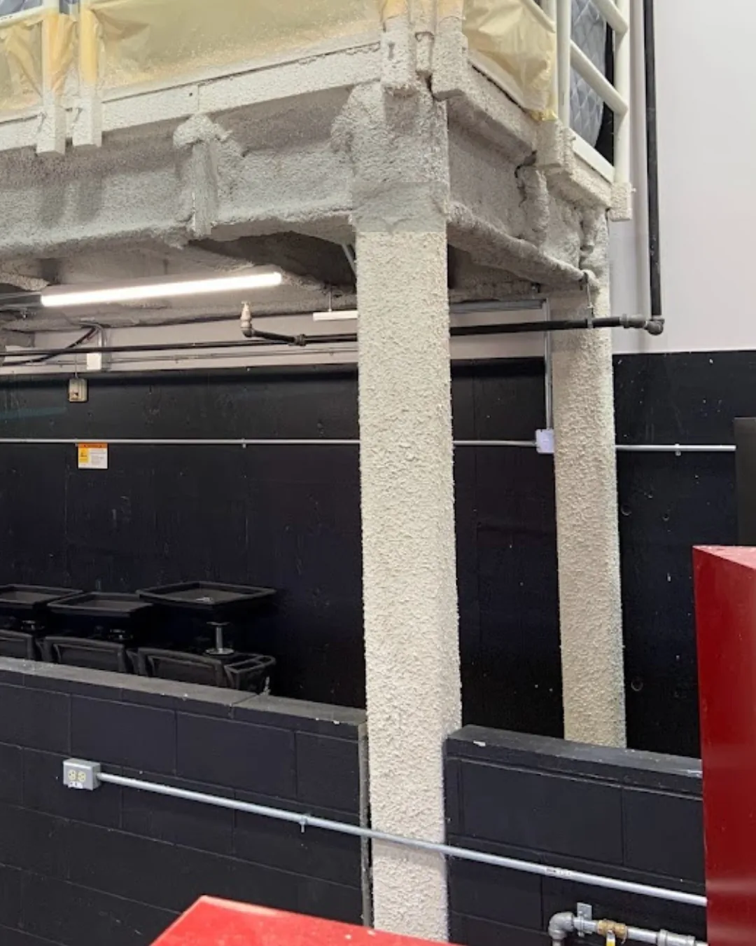 Intumescent fireproofing coating applied to structural steel columns by GreenTech Painting in London, Ontario.